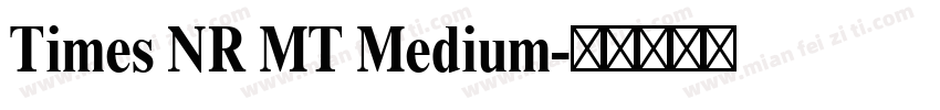 Times NR MT Medium字体转换